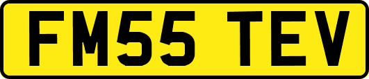 FM55TEV