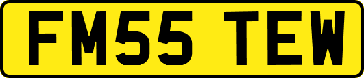 FM55TEW