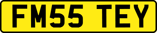 FM55TEY