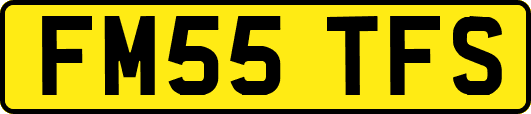 FM55TFS