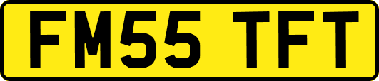 FM55TFT