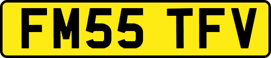 FM55TFV