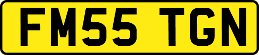 FM55TGN