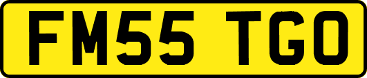 FM55TGO