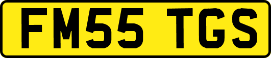 FM55TGS
