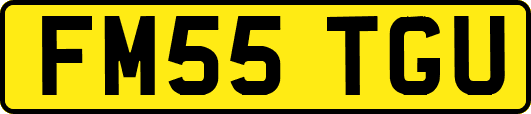 FM55TGU