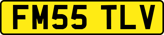 FM55TLV