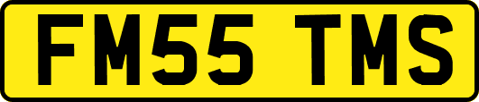 FM55TMS
