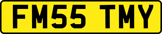 FM55TMY