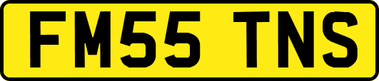 FM55TNS