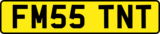 FM55TNT