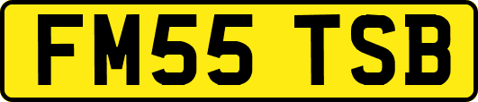 FM55TSB