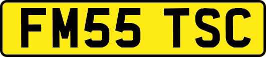 FM55TSC