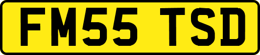 FM55TSD
