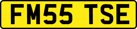 FM55TSE