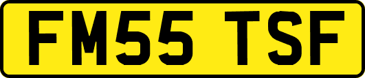 FM55TSF