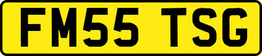 FM55TSG