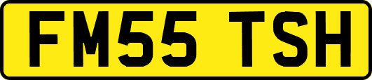 FM55TSH
