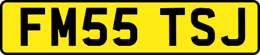 FM55TSJ