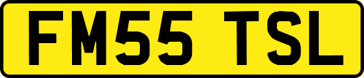 FM55TSL