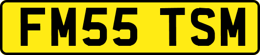 FM55TSM