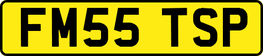 FM55TSP
