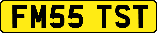 FM55TST