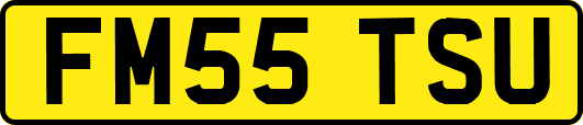FM55TSU