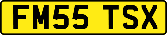 FM55TSX