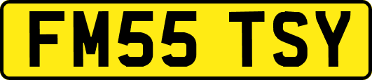 FM55TSY