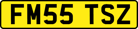FM55TSZ
