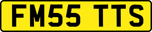 FM55TTS