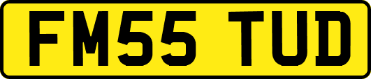 FM55TUD