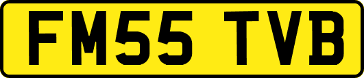 FM55TVB