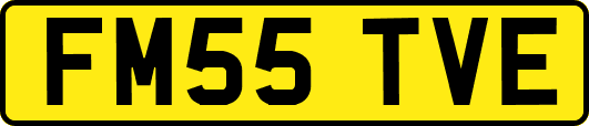 FM55TVE