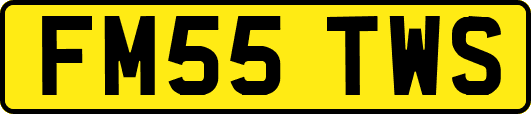 FM55TWS