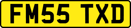 FM55TXD