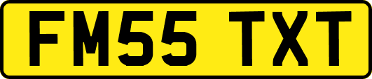 FM55TXT