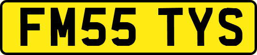 FM55TYS