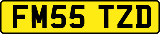 FM55TZD