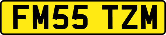 FM55TZM