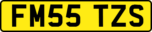 FM55TZS