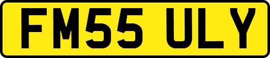 FM55ULY
