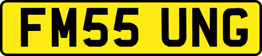 FM55UNG