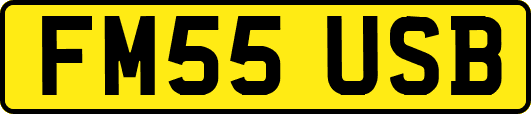 FM55USB