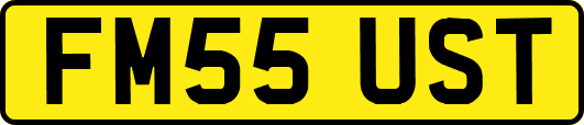 FM55UST