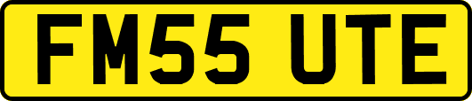 FM55UTE