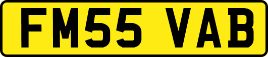 FM55VAB