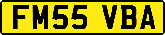 FM55VBA