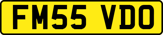 FM55VDO